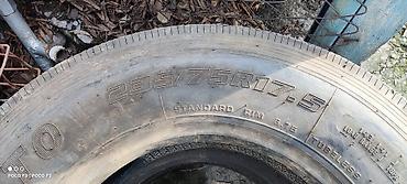 Шины: Грузовые б/у шины 385/65/22.5 315/80/22.5 295/80/22.5 315/60/22.5 — 11