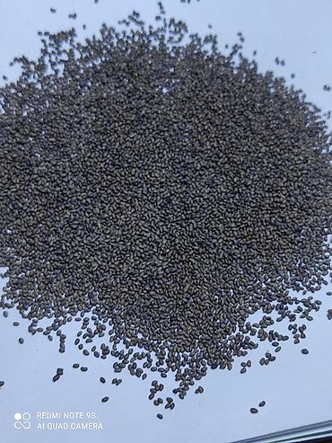 Люцерна: Продаю семена люцерны,семена клевера,высший сорт,гарантия — 10