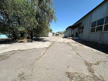 Продажа участков: 857 соток — 8