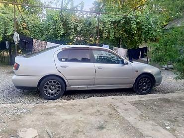 ниссан сефиро авто: Nissan Primera: 2001 г., 1.8 л, Механика, Бензин, Седан — 1
