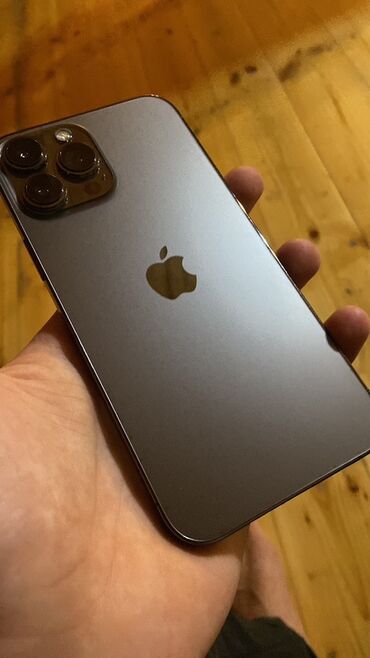 i̇phone 17 pro: IPhone 13 Pro Max, Графит, Face ID