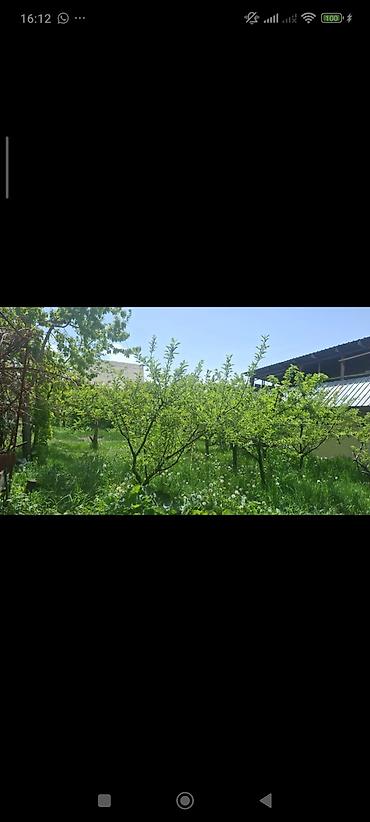 Продажа коттеджей и домов: Дом с крытым двором и отдельной закрытой зоной/навесом. - Одноэтажный — 5