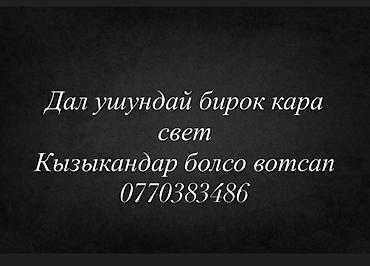 куры живые: Продаю | Овца (самка) | Для разведения | Ярка — 2