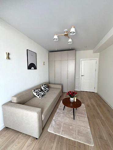 кв кут: 1 комната, 42 м², ул. Горького / Алматинка Элитка, 10 этаж, Дизайнерский ремонт — 7