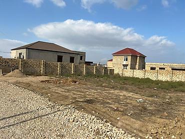 gencede: 3 sot, Kənd təsərrüfatı, Kupça (Çıxarış) — 3