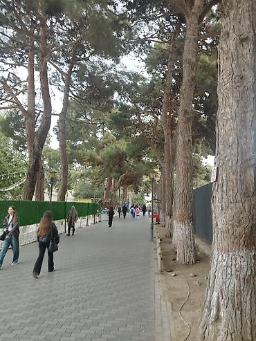 Həyət evləri və villaların satışı: 3 otaqlı, 2 kv. m, Kredit yoxdur, Orta təmir — 12