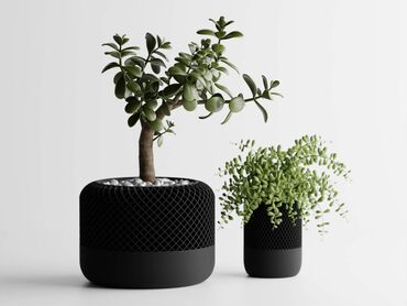 стеклянный обеденный стол: Современные вазы для растений в стиле 
Apple home