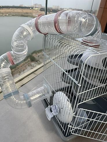 heyvan evi: Hamster üçün çoxmərtəbəli qəfəs və aksesuar dəsti hamisi bir yerde — 4