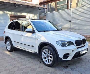 машина bmw 525: BMW X5: 2010 г., 3 л, Автомат, Бензин, Внедорожник