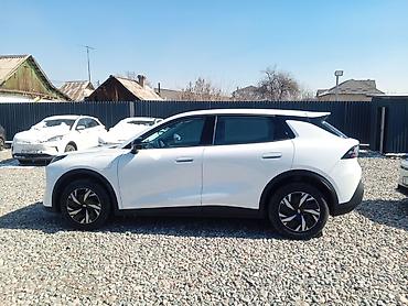 Jetour: Jetour : 2026 г., Кроссовер — 15