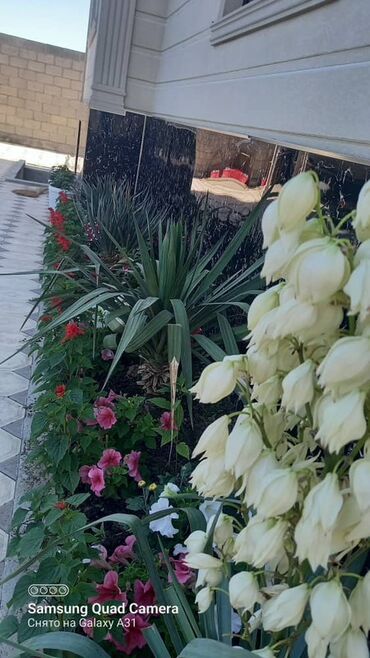 Долгосрочная аренда домов: Просторный частный дом с благоустроенным двором и классическим — 2