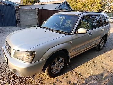 subaru forester sti 2004: Subaru Forester: 2004 г., 2 л, Автомат, Бензин, Кроссовер — 2