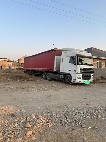 Тягачи: Тягач, DAF, 2004 г., Шторный — 8