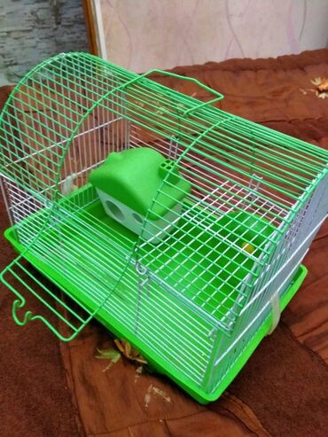 Gəmiricilər: Salam. Disi xomyak satilir. Qefesle birge. Qefesde gorduyunuz her sey -da lalafo.az — 15 Gəmiricilər: Salam. Disi xomyak satilir. Qefesle birge. Qefesde gorduyunuz her sey — 15