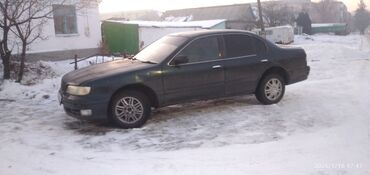 Nissan: Nissan Cefiro: 1996 г., 2 л, Автомат, Бензин, Седан