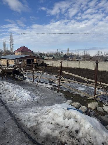 Продажа участков: 16 соток, Для бизнеса — 5