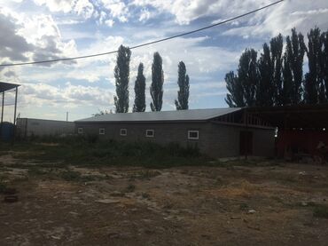 Продажа домов: Дом, 130 м², 6 комнат, Собственник — 7