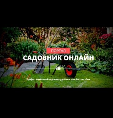 ищу садовника в Кыргызстан | ДВОРНИКИ, САДОВНИКИ: Я садовник приходящий уход за садом люблю ухаживать за садом я