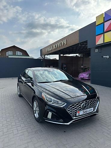 sonata 2009: Hyundai Sonata: 2019 г., 2.4 л, Автомат, Бензин, Седан — 1