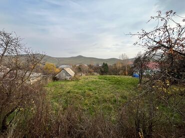 Torpaq sahələrinin satışı: 20 sot, Kupça (Çıxarış) — 1