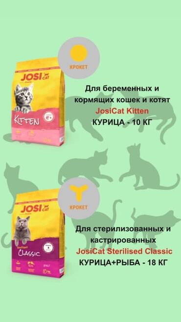 кошачья мята: Сухой корм для кошек JosiCat 1) JosiCat Kitten, курица — 10 кг -