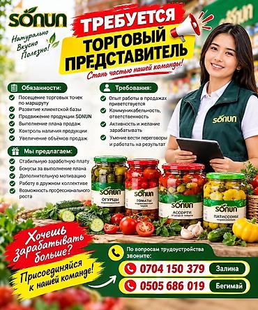 Маркетинг, жарнама, PR: Вакансия: Торговый представитель бренда SONUN Описание: Компания — 1