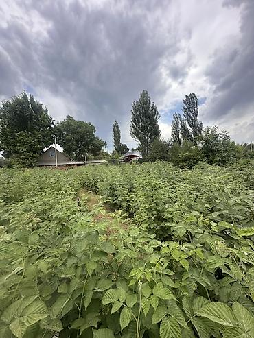 кой таш: 4 соток, Для строительства — 2