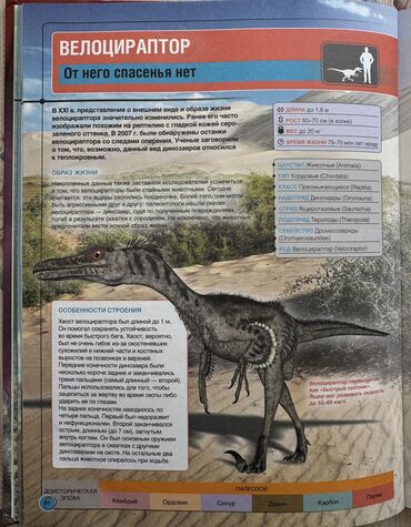 Детские книги: Познавательные, интересные энциклопедии и сказки для детей и — 12