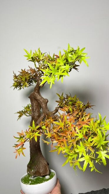 Süni güllər: Süni bonsai ağacı – dekorativ içməkan yaşıllaşdırma üçün - Realistik — 25