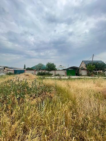 дом бешкунгой: 21 соток, Красная книга — 2