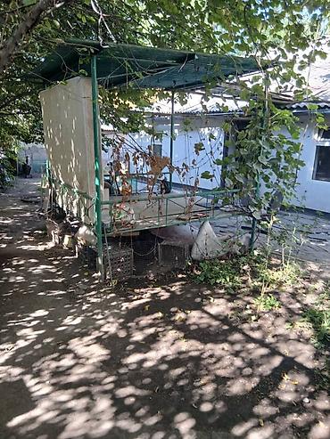 3х: Продаю срочно дом 3х ком уч 4 сот дом 65 кв район аламедин базара — 9