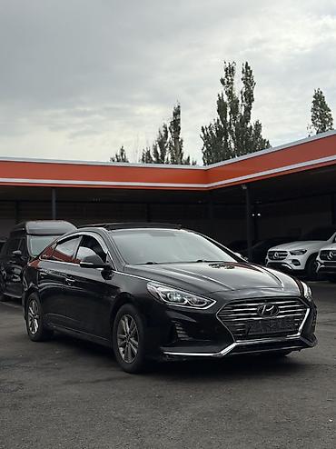 sonata: Hyundai Sonata: 2019 г., 1.6 л, Автомат, Бензин, Седан — 1