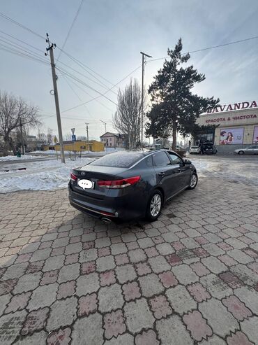 Kia: Kia K5: 2016 г., 2 л, Автомат, Газ, Седан — 4