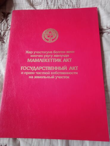 ак туз: 4 соток, Курулуш, Кызыл китеп
