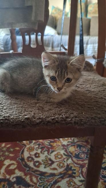мятный шарик: 3 месяца, Мальчик — 4