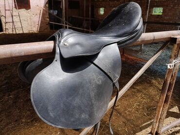 арабская лошадь: Продаётся селдо для профессиональной езды на лошадях -PIONEER ITALY 🇮🇹