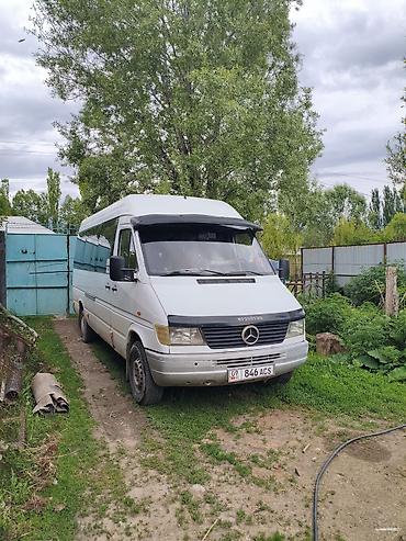 Унаа: Mercedes-Benz Спринтер: 1999 г., 2.9 л, Кол менен иштөөчү, Дизель, Бус — 1