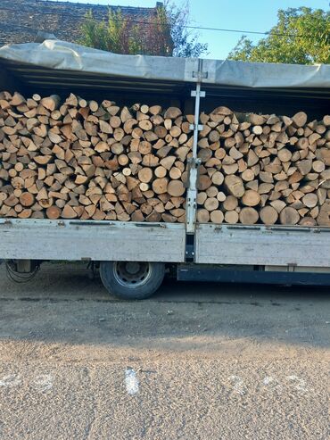 Oprema za grejanje: Ogrevno drvo – tvrde vrste, isečeno i cepano - Vrsta: tvrdo lišćarsko — 9