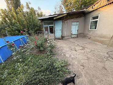 Продажа коттеджей и домов: ТОРГ МИНИМАЛЬНЫЙ Продается жилой дом с большим приусадебным at lalafo.kg — 5 Продажа коттеджей и домов: ТОРГ МИНИМАЛЬНЫЙ Продается жилой дом с большим приусадебным — 5