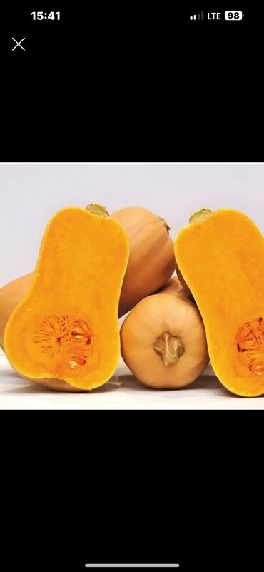 домашние молочные продукты: Ашкабак
