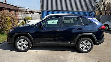 Toyota: Toyota RAV4: 2019 г. — 11