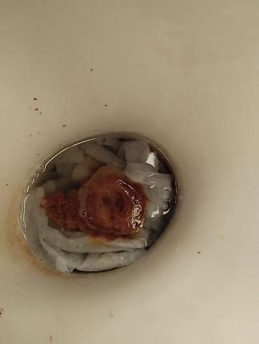 Отдам даром: Продаю породистую собачку таксу умную послушную к туалету — 9