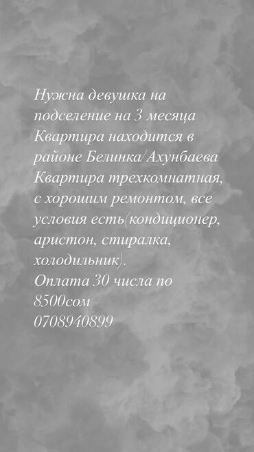 салиева квартиры: 3 бөлмө, Менчик ээси, Чогуу жашоо менен, Жарым -жартылай эмереги бар lalafo.kg да салиева квартиры: 3 бөлмө, Менчик ээси, Чогуу жашоо менен, Жарым -жартылай эмереги бар