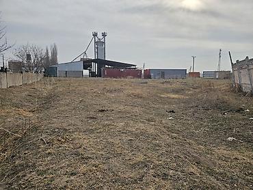 сон куль: 129 соток, Красная книга, Тех паспорт — 7