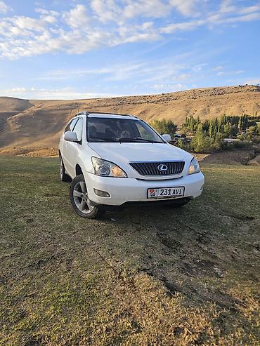 Lexus: Lexus RX: 2004 г., 3.3 л, Бензин — 2