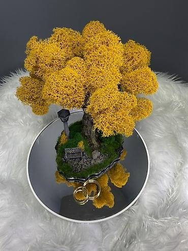 Другой декор и предметы интерьера: Декоративное настольное деревце Бонсай из стабилизированного мха- — 12