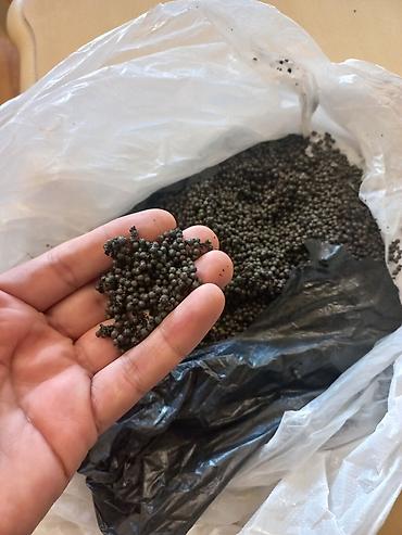 xirdalan gurcu xengeli: Salam Akvarium ücün qrunt akvarium bitkilərinin əkilməsi akvarium — 1