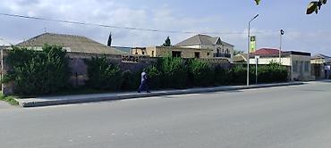 sokuntu ferma satisi: Abşeron rayonu Saray qəsəbəsi, Heydər Əliyev pr. Obyektdə tam yararlı — 1