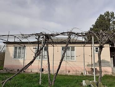 Həyət evləri və villaların satışı: 4 otaqlı, 126 kv. m, Orta təmir — 8