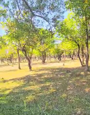 Продажа участков: 300 соток, Для строительства — 8